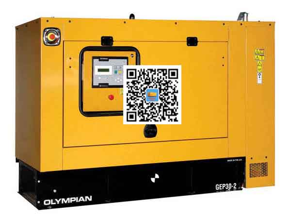 新兴镇出租发电机组配置有哪些重要特点