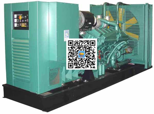 新兴镇笼型异步发电机的电力电子控制技术