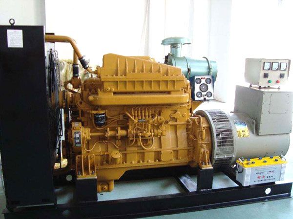 新兴镇有哪些有效的方法可以预防柴油发电机组的蓄电池出现硫化现象？